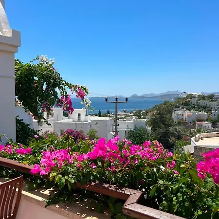 Munahan * Bodrum